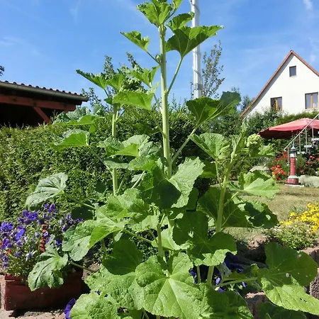 Thale Ot Apartment Warnstedt
