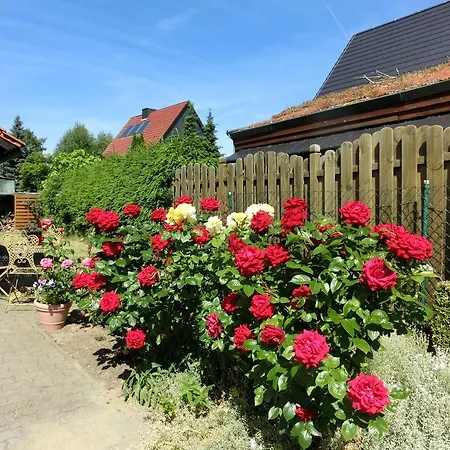 Thale Ot Apartment Warnstedt